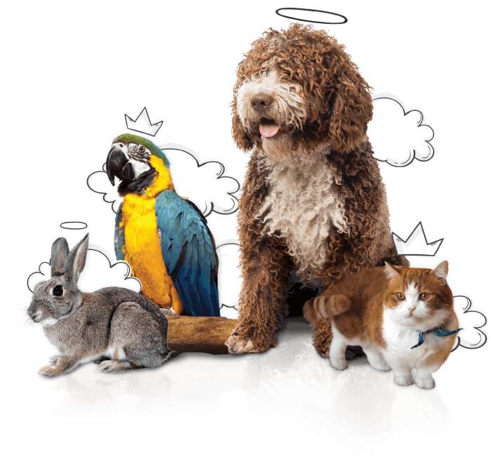 La fe mascotas - cremación colectiva