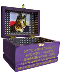 La fe mascotas - Urna gatos