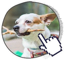 La fe mascotas obutiarios