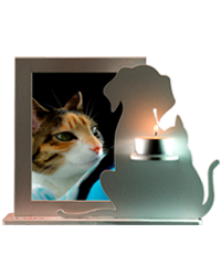 La fe mascotas - Recordatorio